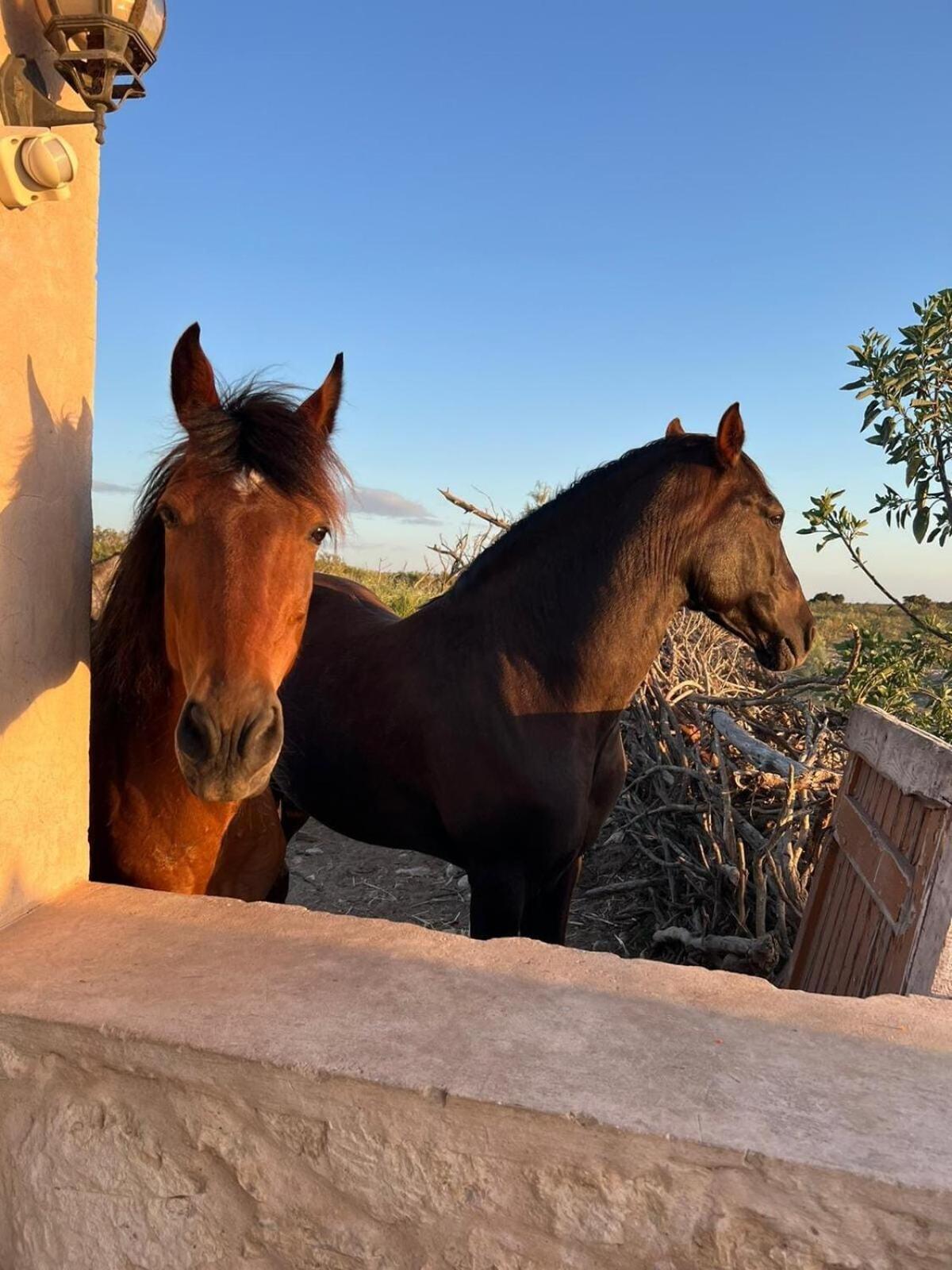 Séjour à la ferme La Fattoria